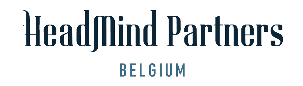 HeadMind Partners l Belgium logo