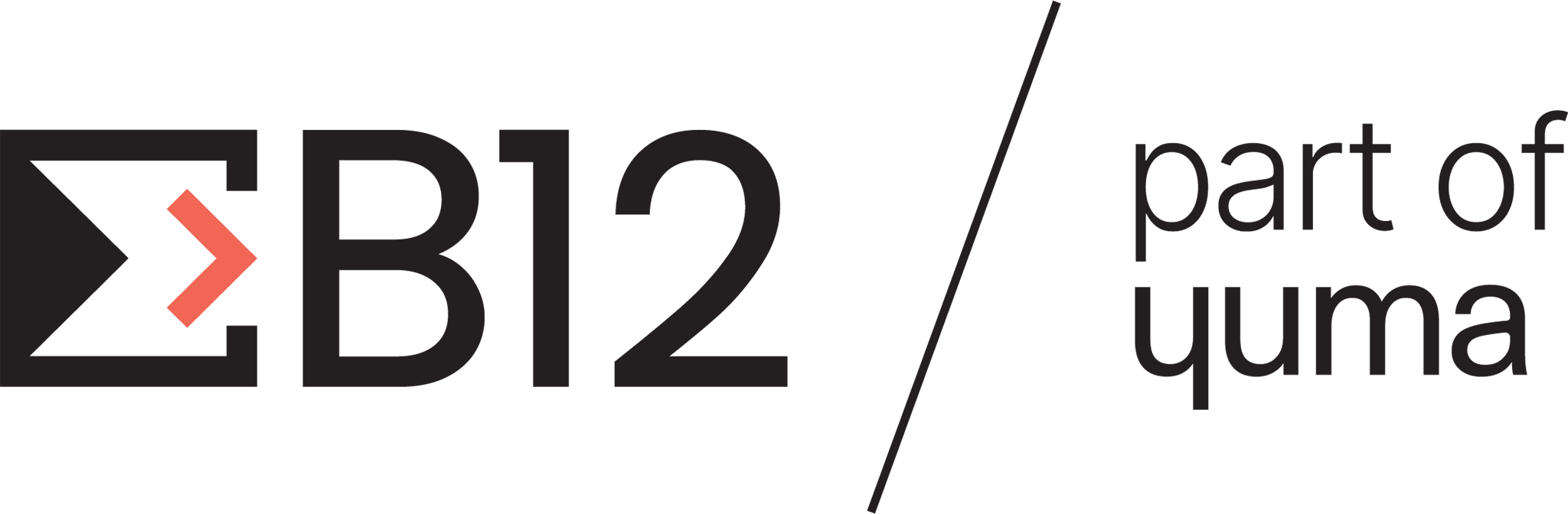 B12 Consulting logo